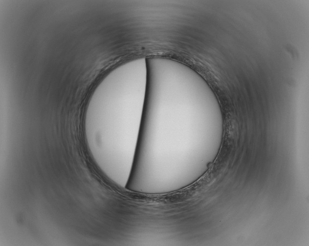 X0000111640743200907171038