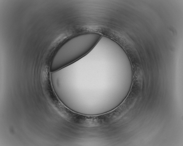 X0000111640744200907171038