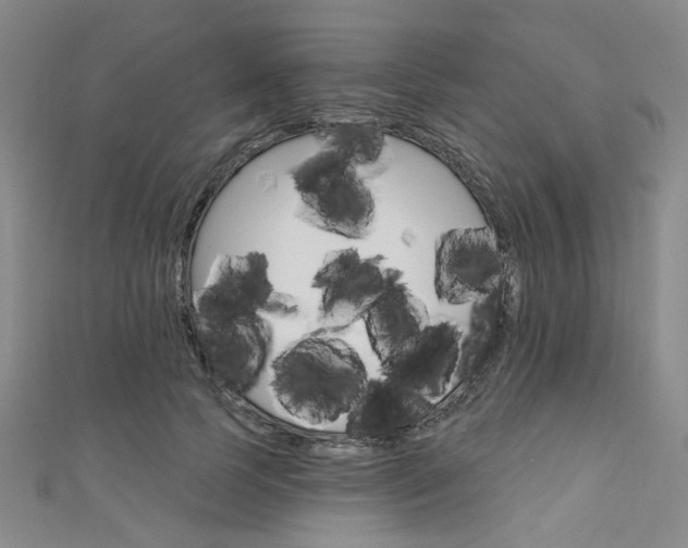 X0000111640745200907171038