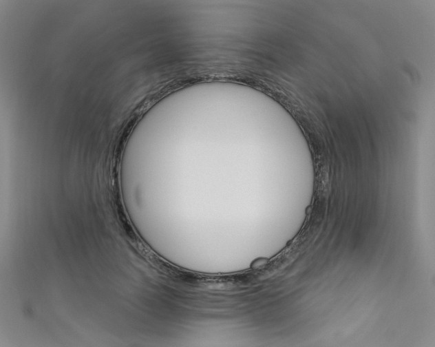 X0000111640746200907171038