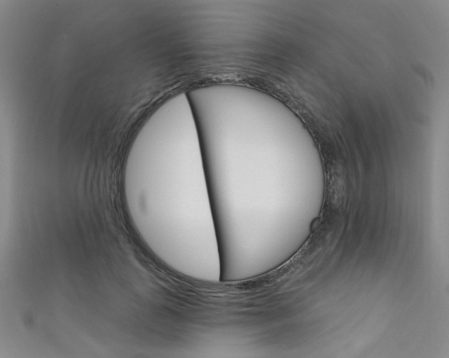 X0000111640747200907171038