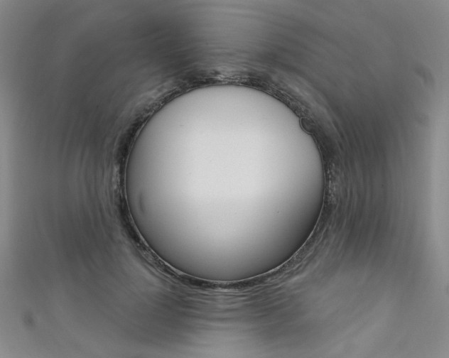 X0000111640748200907171038
