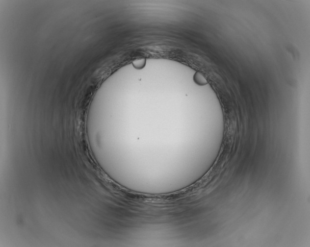 X0000111640749200907171038