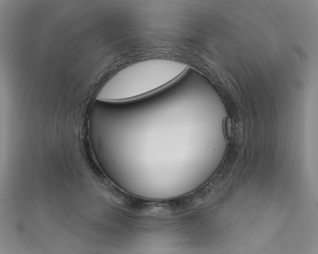X0000111640750200907171038