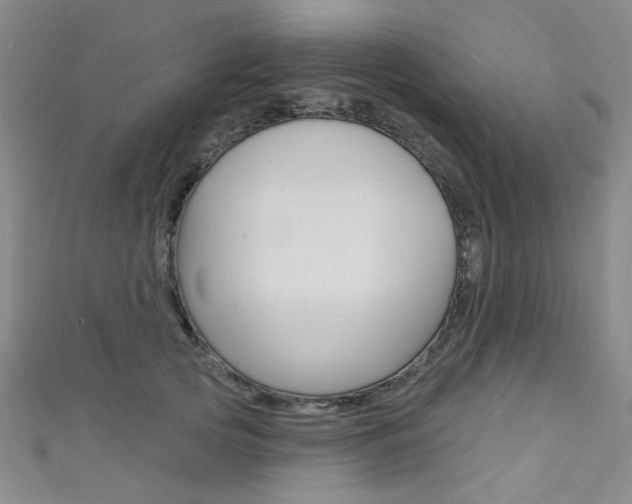 X0000111640753200907171038