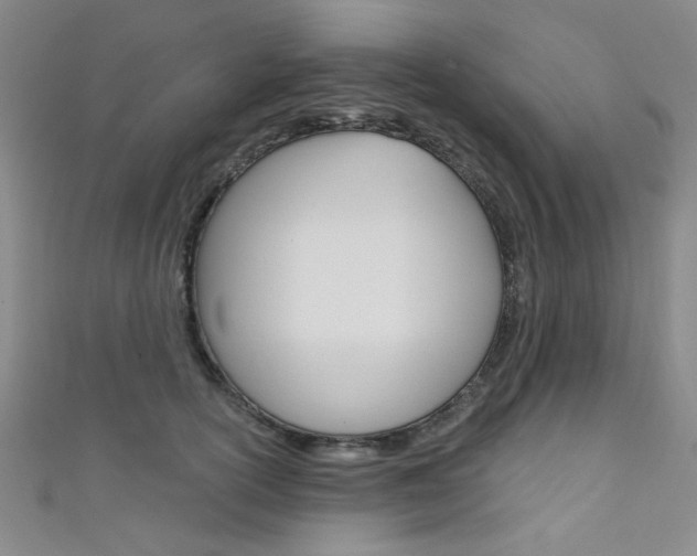 X0000111640754200907171038