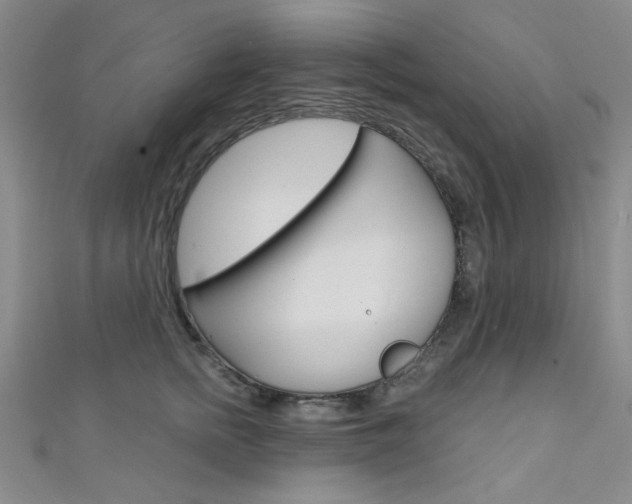 X0000111640758200907171038