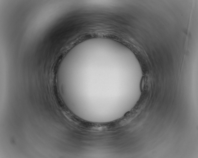 X0000111640760200907171038