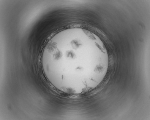 X0000111640761200907171038