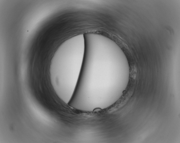 X0000111640763200907171038