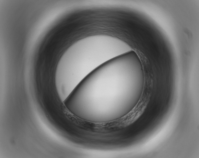 X0000111640766200907171038
