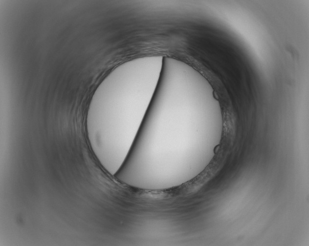 X0000111640767200907171038