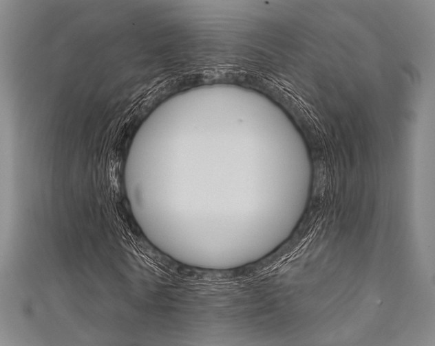 X0000111640770200907171037