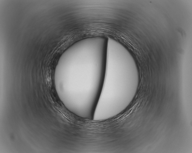 X0000111640771200907171037
