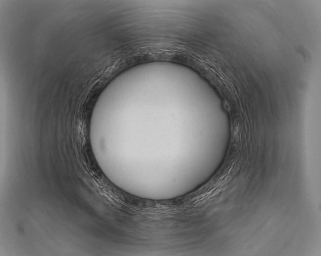 X0000111640772200907171037