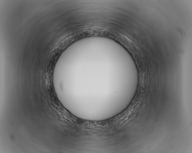 X0000111640774200907171037