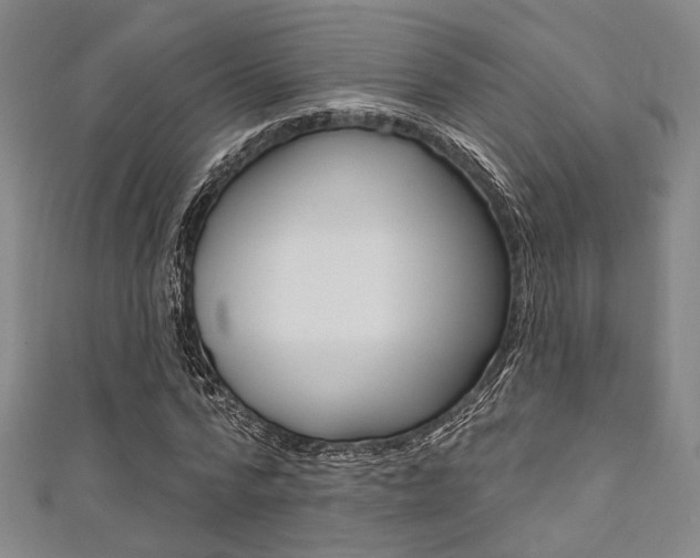 X0000111640776200907171037