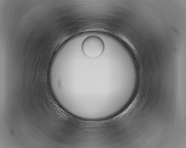 X0000111640777200907171037