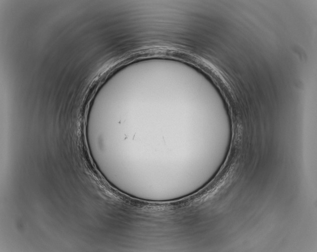 X0000111640778200907171037