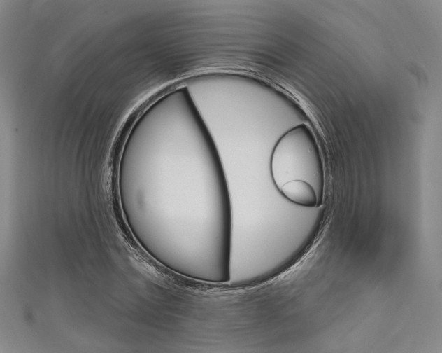 X0000111640779200907171037
