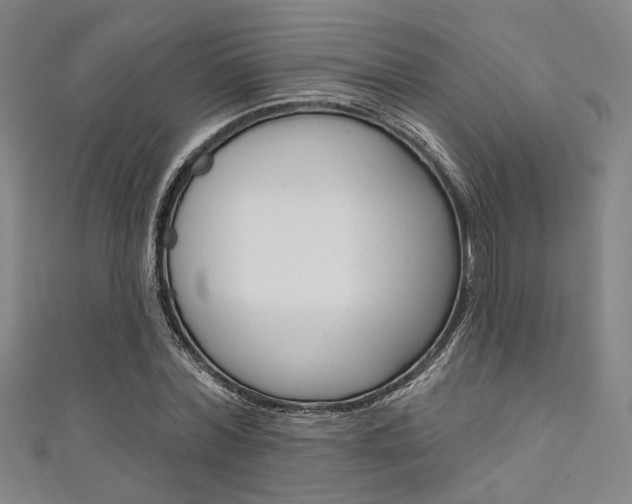 X0000111640780200907171037