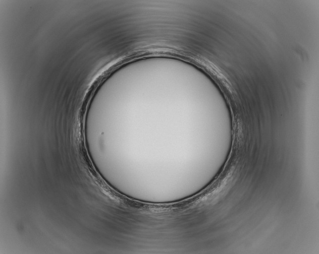 X0000111640782200907171037