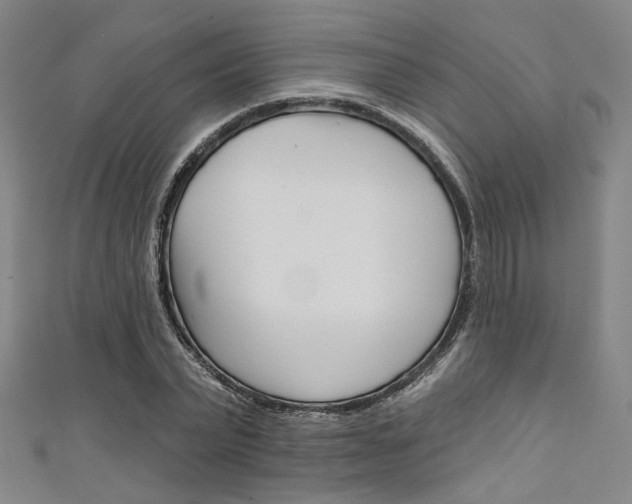 X0000111640783200907171037