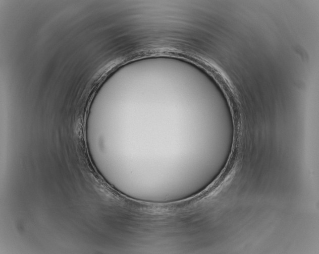 X0000111640785200907171037