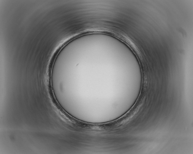 X0000111640787200907171037