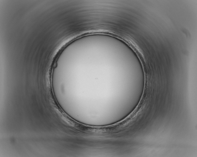 X0000111640789200907171037