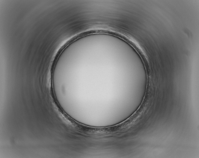 X0000111640791200907171037