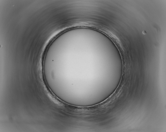X0000111640792200907171037