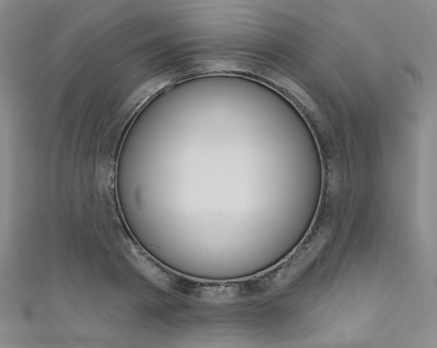X0000111640793200907171037
