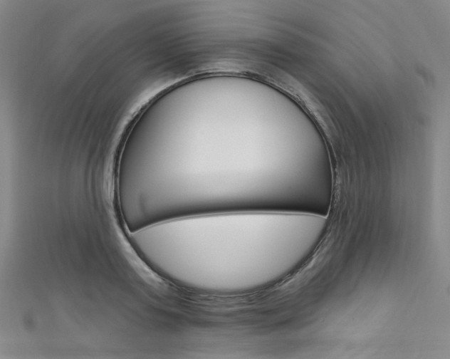 X0000111640795200907171037