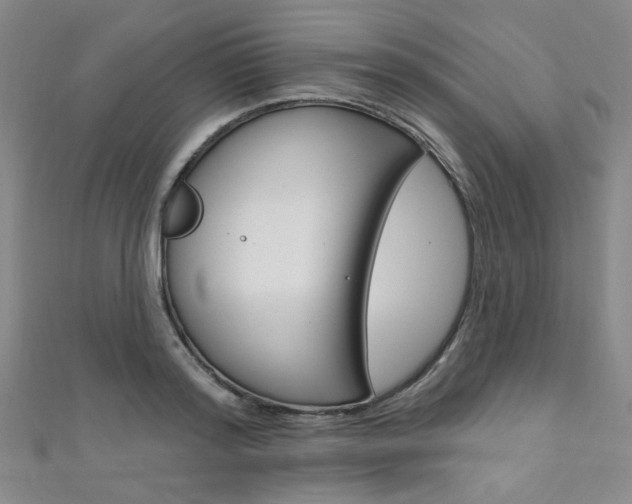 X0000111640796200907171037
