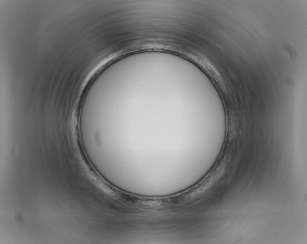 X0000111640798200907171037