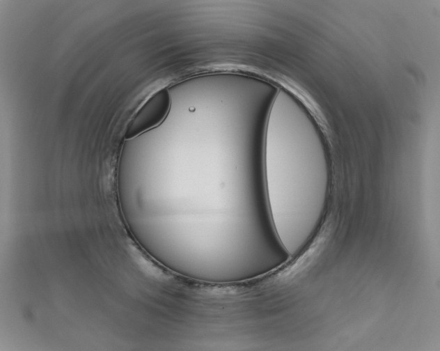 X0000111640801200907171037