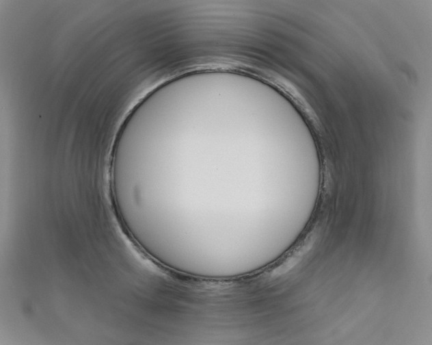 X0000111640802200907171037