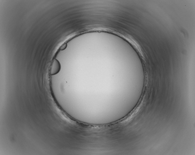 X0000111640806200907171037