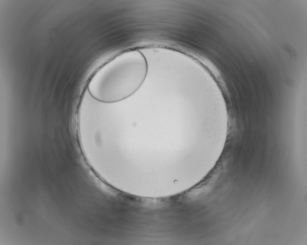 X0000111640807200907171037