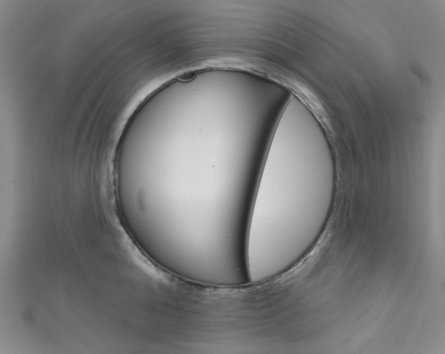 X0000111640808200907171037