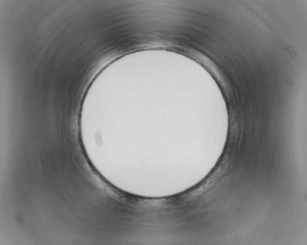 X0000111640810200907171037