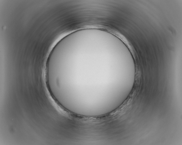 X0000111640811200907171037