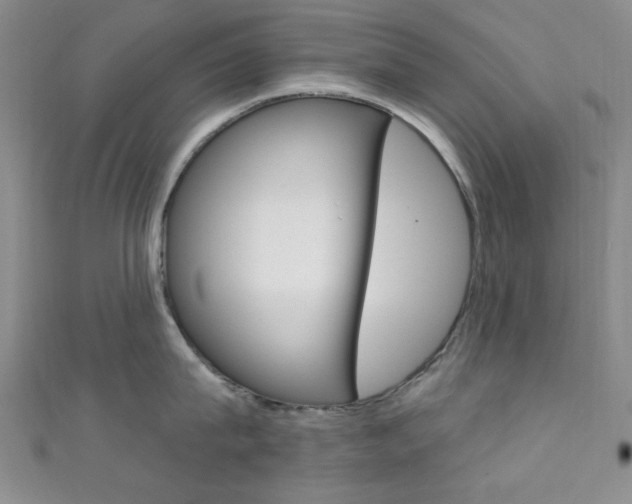 X0000111640815200907171037