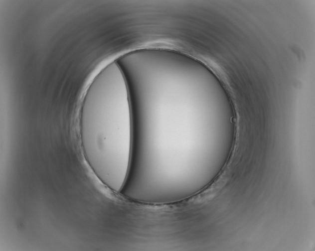 X0000111640816200907171037