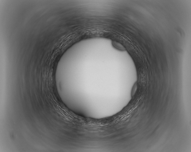 X0000111640818200907171036