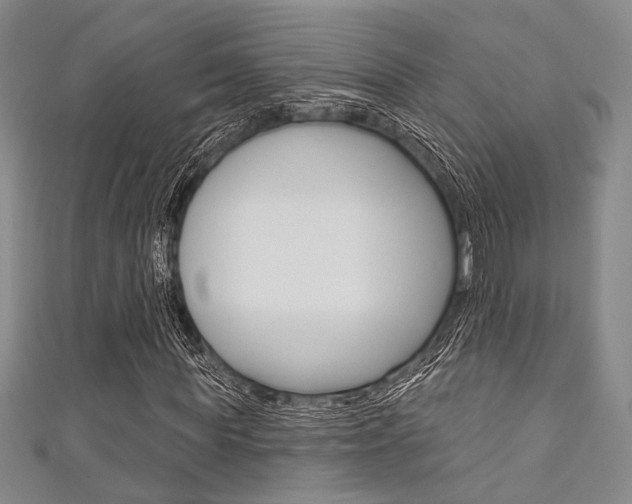 X0000111640819200907171036