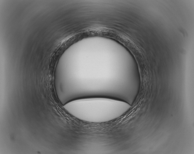 X0000111640822200907171036