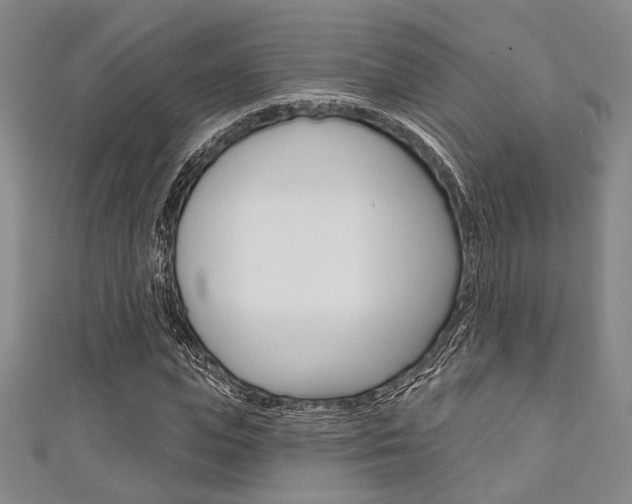 X0000111640823200907171036
