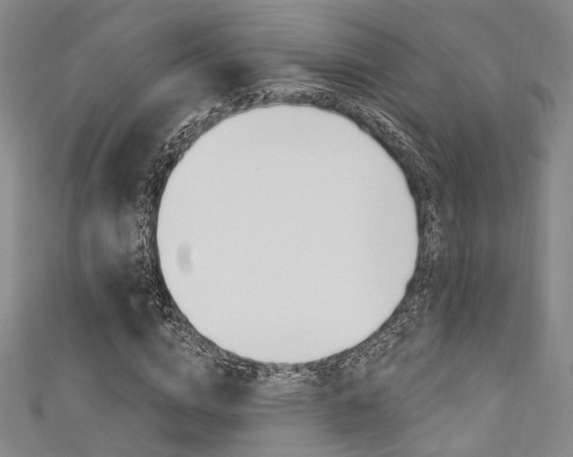 X0000111640824200907171036